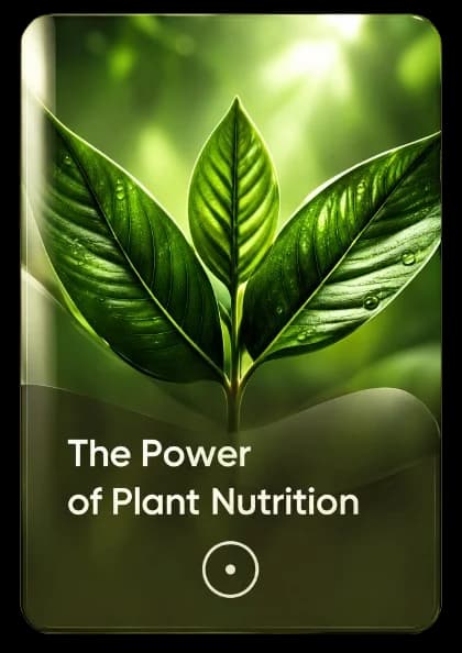 The Power of Plant Nutrition